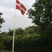 Lars Jürgensen's photo