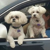 Jami Waggoner's photo