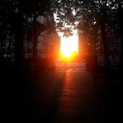 Foto von Amanda Fitzpatrick