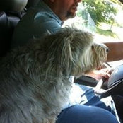 Roger Reed's photo