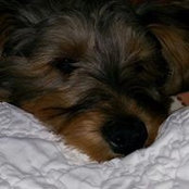 Karen Talley's photo