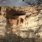 Patty Emerson's photo
