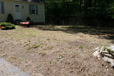 Sod Installation