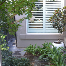 garden 1