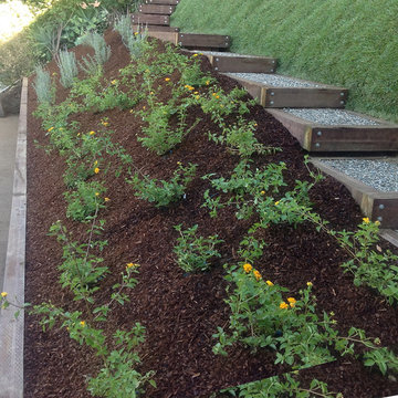 Unique Hillside Landscaping Design