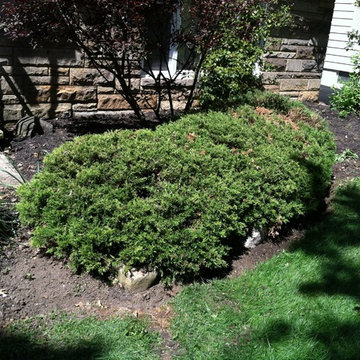 Zaccraya Cisse Spring Cleanup