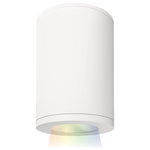 WAC Lighting - Tube Architectural 5" LED Color Changing Flush Mount Narrow Beam, White - The ilumenight Tube Architecture features a state of the art LED color changing technology controlled through an IOS app. ilumenight Bluetooth enabled � Through the free IOS ilumenight app, you can control the color and brightness of your lights all with the touch of a finger on your smartphone or tablet device. Precise engineering using the latest energy efficient LED technology with a built-in reflector for superior optics; An appealing cylindrical profile perfect for accent and wall wash lighting.