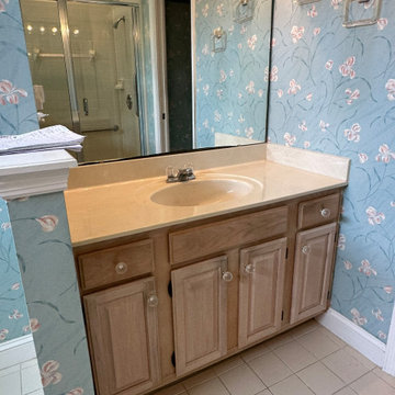 Complete Bathroom Remodel and Makeover