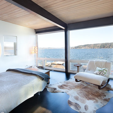 Waterfront mid-century modern
