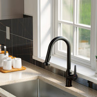 Karran Dockton Single-Handle Pull-Down Sprayer Kitchen Faucet, Matte Black