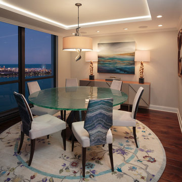 Transitional Chicago Condominium