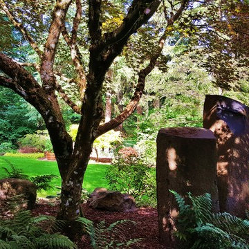 Damascus Lawn LandscapeMakeover in Shade Garden