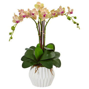 Phalaenopsis Orchid Silk Arrangement, White Vase