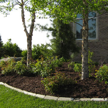 Landscape Gallery