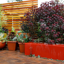 patio and planters