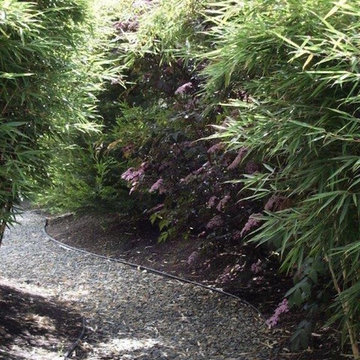 Bamboo Path