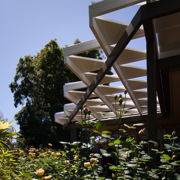 Rose Garden Origami