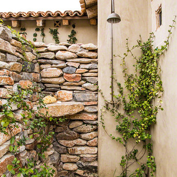 Silverleaf 3