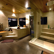 Contempoary Mountain House Bathrooms