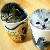Priska Thuring's photo
