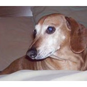 Susan Frechette Seguin's photo