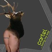 Francois Belleville's photo