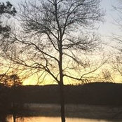 Kathy Harrell's photo