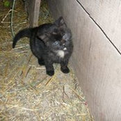 Monica Goodspeed's photo