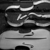 Bruno Guastalla's photo