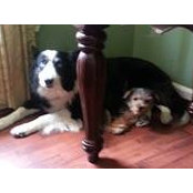 Maria Hartmann's photo