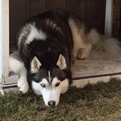 Kelly Levac's photo