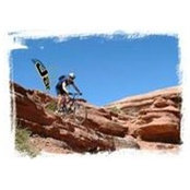 Michael S Newman's photo