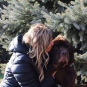 Renee Ingle's photo