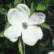 Kristian Bailey's photo