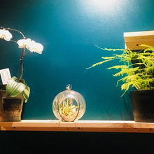 Jungle
