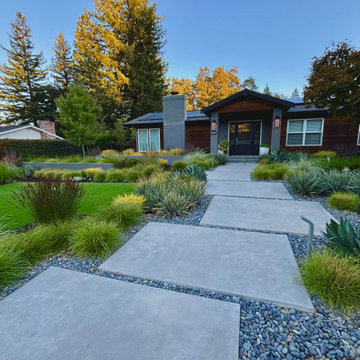 Alamo Modern Low Water Front Yard