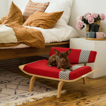 Дизайнерская мебель для собак и кошек