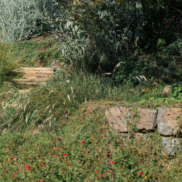 Mariposa Gardening & Design Winter