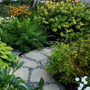 Landscape & Walkway