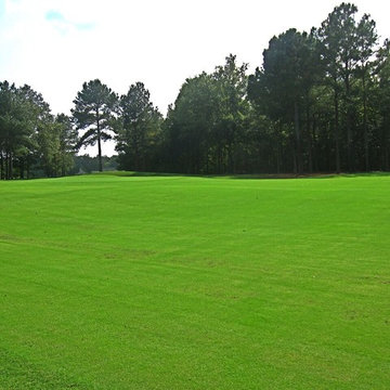 Geo Zoyia Grass