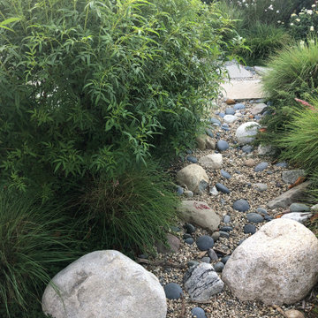 Rain Garden
