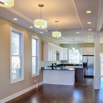 Wicker Park Two-Flat Single Family Gut Rehab - Kitchen
