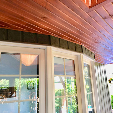 Roof Structure and Exterior siding change (Plus extension of roof)