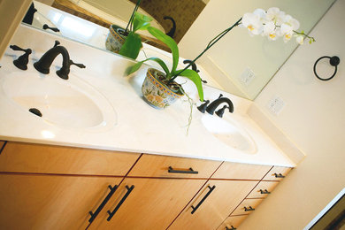 Bathroom Counter and Cabinets