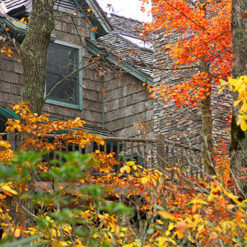 Fall Colors