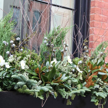 Christmas window boxes in Brooklyn
