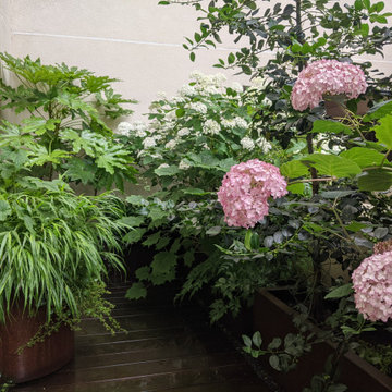 Terrasse Gambetta