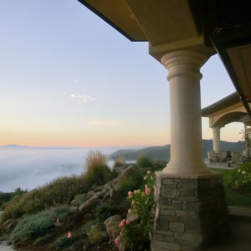 Panorama Oaks