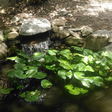 Ponds and Water Features