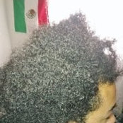 Foto di Omar Granison